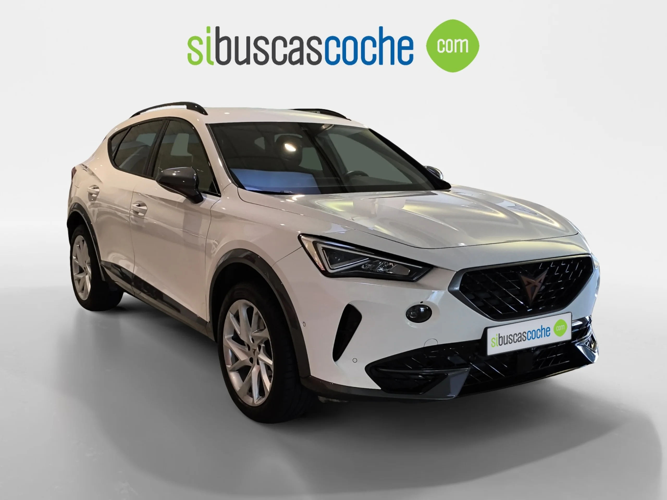 CUPRA FORMENTOR 2.0 TDI 110KW (150 CV) - Foto 1