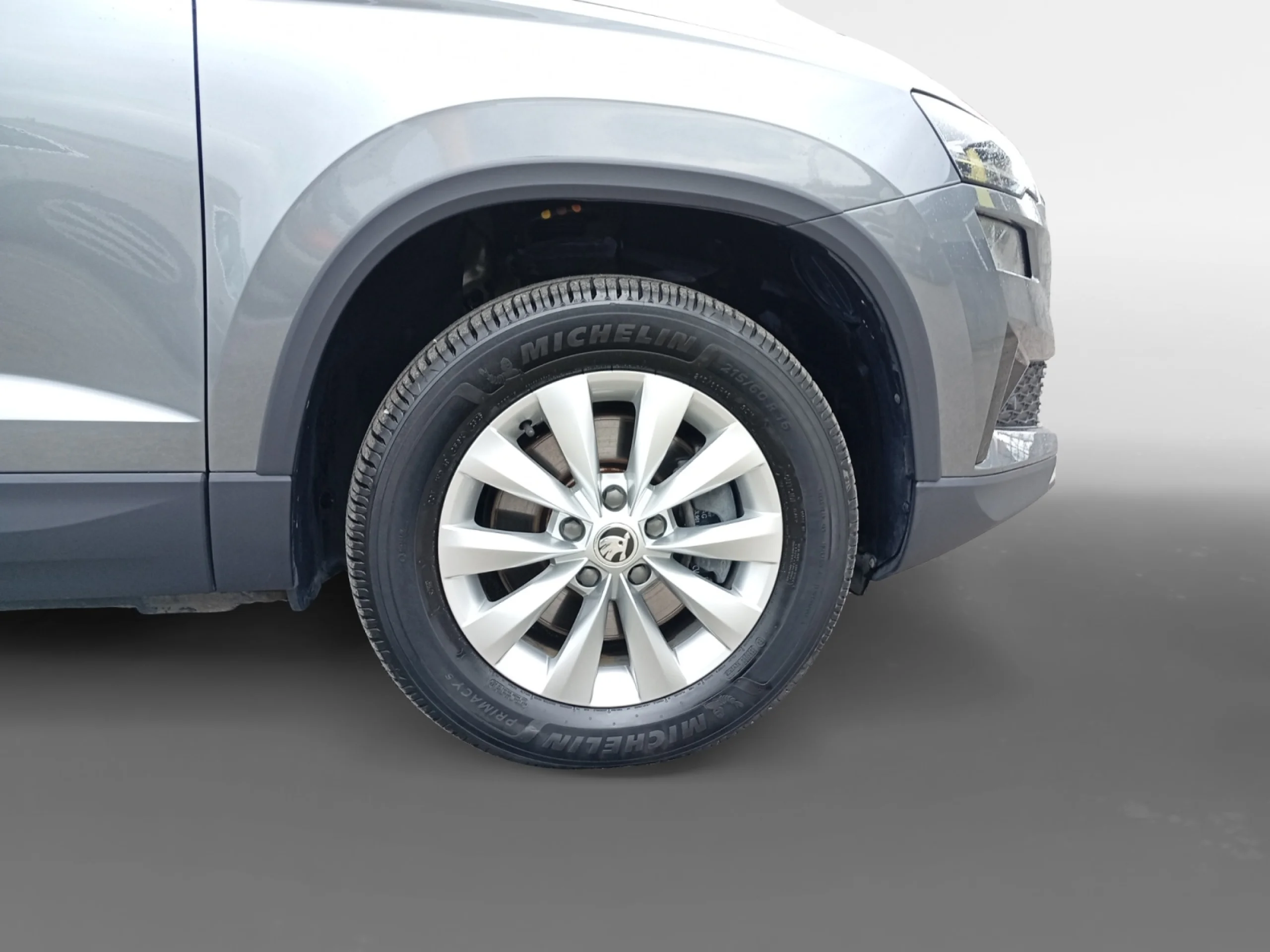SKODA KAROQ 2.0 TDI 110KW (150CV) DSG 4X4 AMBITION - Foto 8