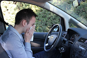 Alergia en el coche 