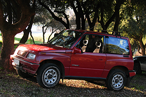 Suzuki de ocasión