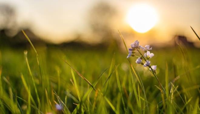 ¿Cómo conducir en primavera?