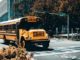 Autobuses escolares estadounidenses, ¿por qué son grandes y amarillos?