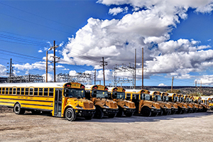 autobuses escolares estadounidenses, coches de ocasión