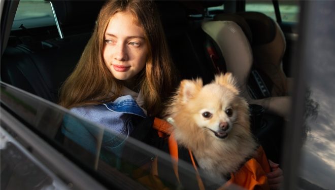 ¿Viajas con el perro suelto cuando vas en coche?